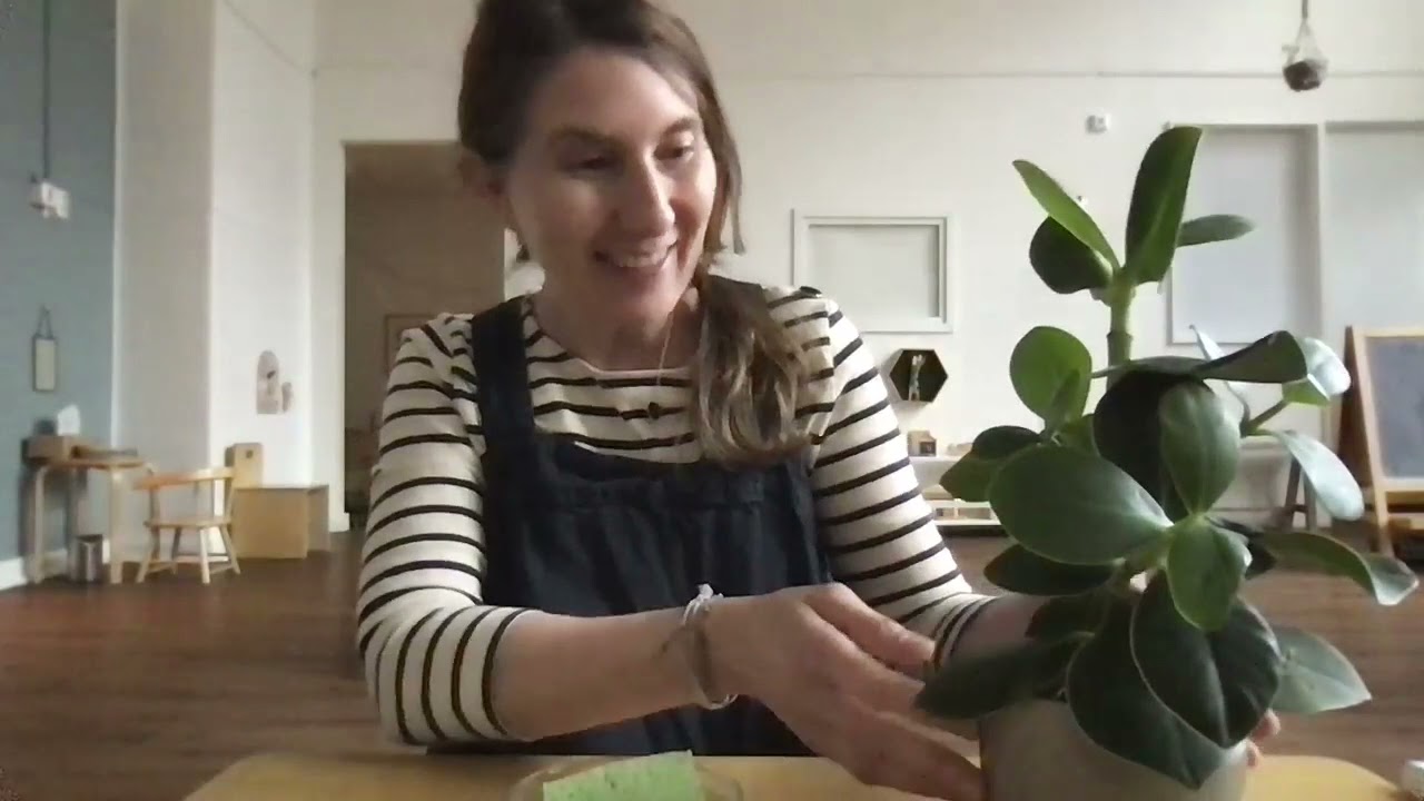 Washing leaves Montessori-style