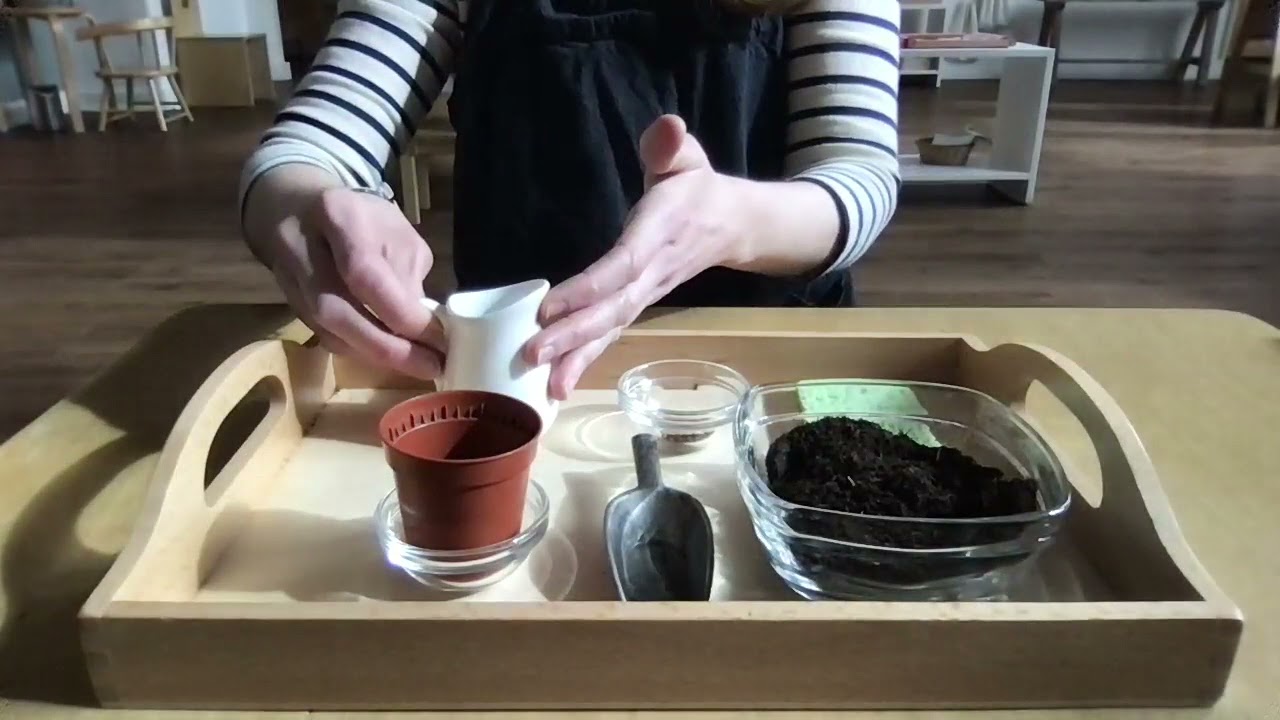Planting seeds Montessori-style