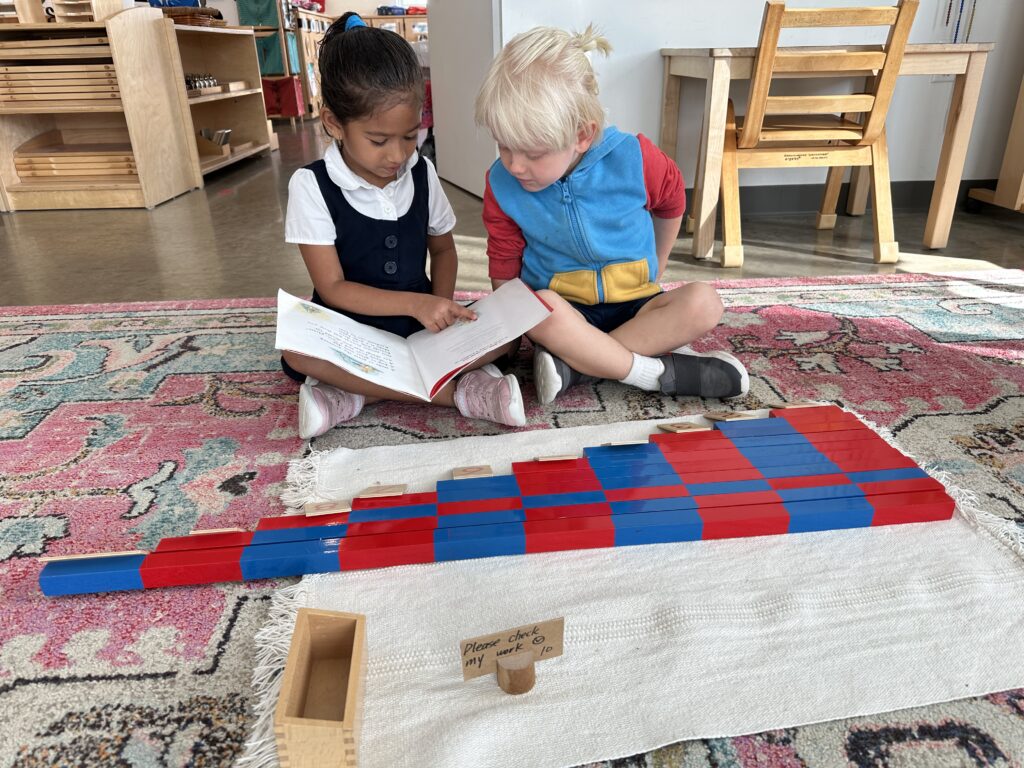 Magnolia Montessori for all - public Montessori school - working together in the Children's house