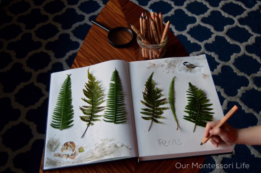 Montessori-nature-journal