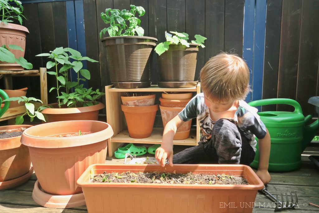 Montessori gardening