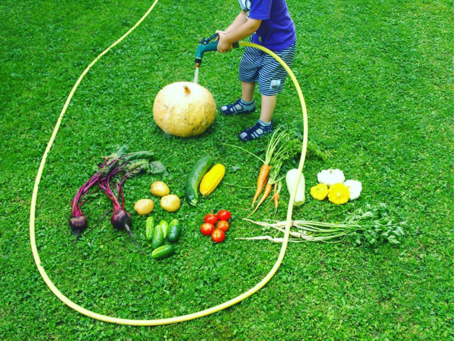 washing vegetables with a hose