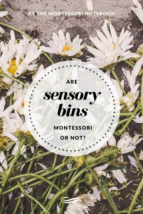 Are sensory bins Montessori or not?