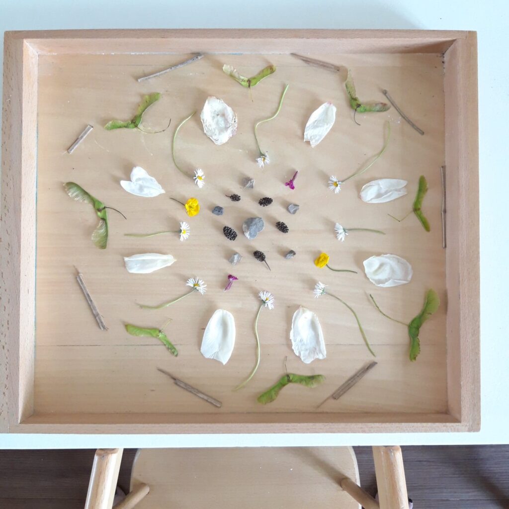 connect children with Earth, Montessori