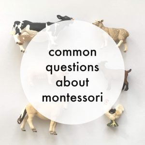 common questions about montessori